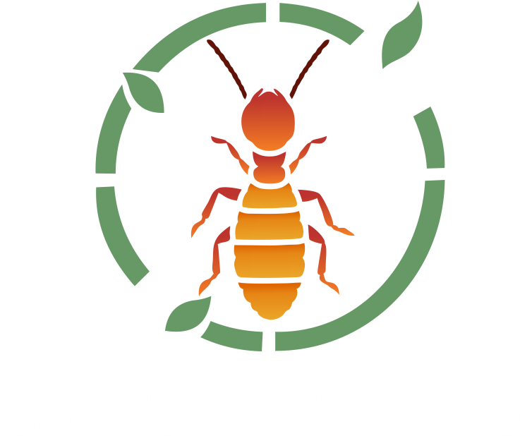 CAPTURE TERmite